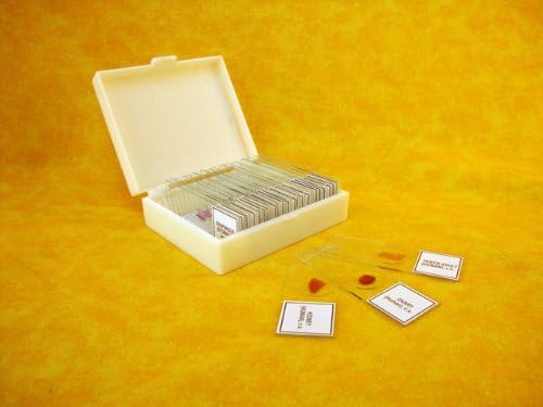 PS111 Mammalian Histology Slide Set