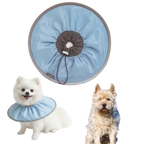 LifetipsPA[eA PA[Lp GUxXJ[ h \tg y pPA ی Ȃߖh~ p EȒP 􂦂 PAJ[(xr[u[j(Lj