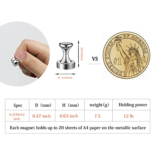 Rhinocats Refrigerator Magnets, Super Strong 8 Packs, Fridge Magnets,Strong Magnetic Push Pins,Magnetic Thumbtack, #TOP6