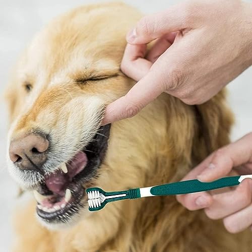 Image of BWESOO Green Dog Toothbrush, Triple Headed Toothbrush Dog for Pet