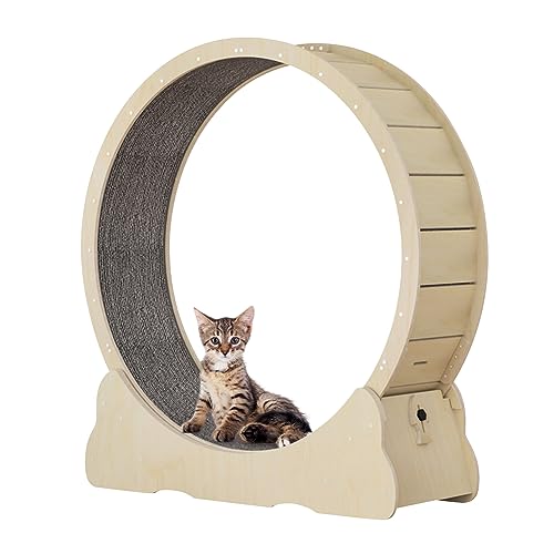 Cat Exercise Wheels
