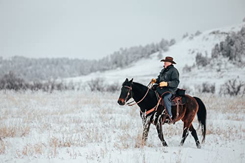 Alforja para caballo Daytripper TrailMax, poliéster 600D resistente a la intemperie, con forro de vinilo cosido y cremallera de doble sentido, para montar en senderos miniatura 6