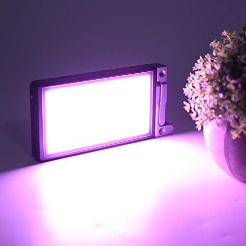 Luz de relleno portátil RGB con control completo de color 12W 2