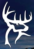 Buck Deer Commander 6' Tall Sport Hunters Logo Die Cut Decal - White Color