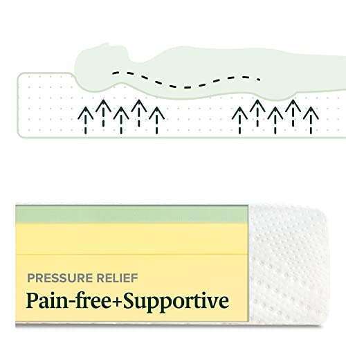 Image of Zinus 8 Inch Green Tea Essential Memory Foam Mattress, Queen, Mattress in A Box, Affordable Mattress, CertiPUR-US Certified