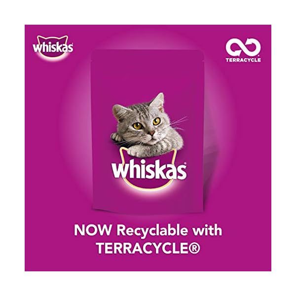 MARS - Whiskas 1+ Complete Chicken - 2kg - EU/UK – Bild 10