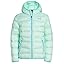 Aqua Foam F21