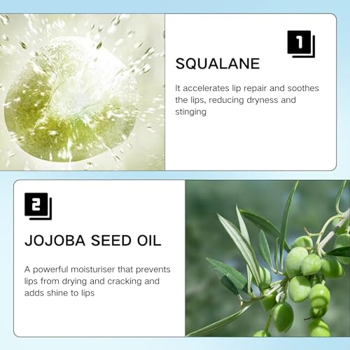 IZBEAUVO Lip Collagen,Lip Repair Lip Mask,Intensive Moisturising Lip Balm,Lip Conditioner,Overnight Lip Balm,Long Lasting Moisturizing Lip Care Cream For Dry & Chapped Lips & Repairs Cracks - Image 7