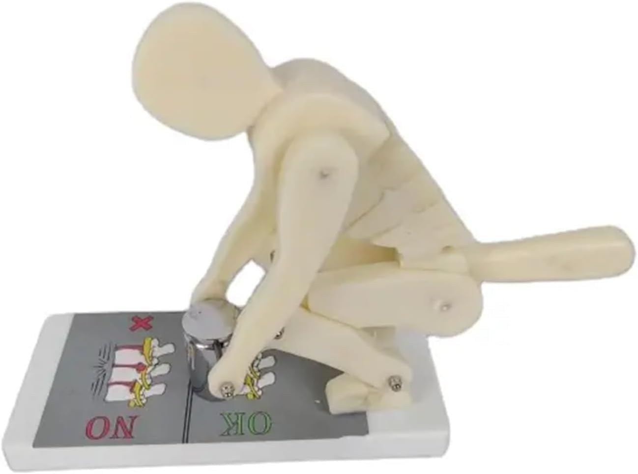RMJEZTQD Human Body Bending Weight Lifting Spine Force Demonstration Model, Lumbar Spine Protection Model, Correct Posture Demonstration Model, for Medical Science Education & Anatomy.
