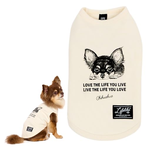 yLIFELIKEzhbO^Cv^NCHIHUAHUA hbOEFA ^N ^ ^   t  H ~ ʔN  ` CXg Vv  ̕ ybg  ybg m ybgpi CtCN (1)