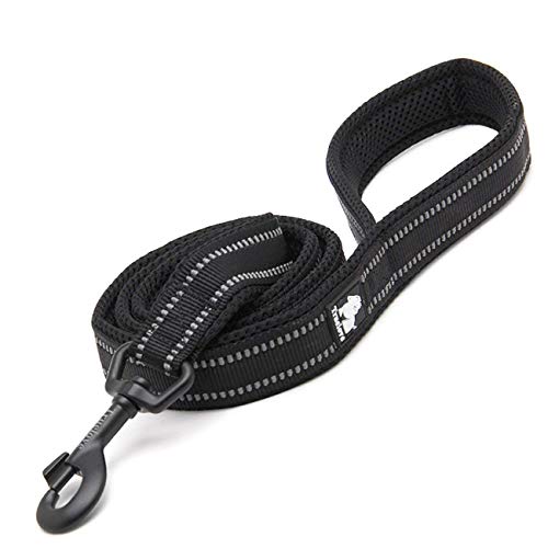 Image of TRUE LOVE Reflective Padded Nylon Dog Walking Leash, Black, S, 110cm