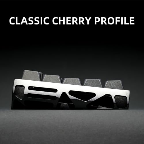 Image of XVX Shine Through PBT Keycaps, Gradient Gray Keyboard Keycaps Cherry Profile, Custom Side Printed Keycap Sets Suitable for 60% 65% 75% 80% 100% Mechanical Keyboard