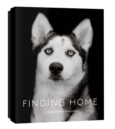 Finding Home Notecards: 12 Notecards & Envelopes
