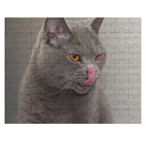 L   pY NG[VAjObY X^CbV l jp D ߋ t@[Xg`CX ؐ  Ǐ葡蕨 av[g 70 PCS