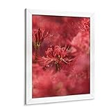 ダイヤモンドアート 埼玉県 幸手 権現堂の彼岸花 ダイヤモンド刺繍 全面貼り付けタイプ ダイヤモンドペインティング 日本の風景写真ダイヤモンド塗装 ダイアモンドビーズ モザイクアート モザイクビーズ アート おしゃれ 大人 子供 DIY 初心者 手芸キット プレゼント 芸術品 装飾 木枠付き 40x50cm