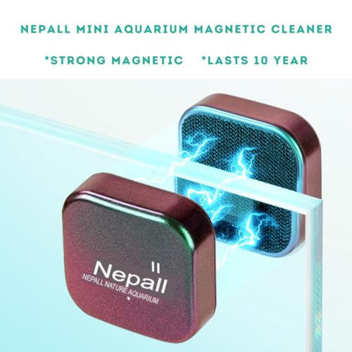 Image of Nepall Premium Gradient Colour Scratch Proof Aquarium Fish Tank Magnetic Cleaner | Floating Type Algea Scrapper | No Need to Wet Your Hands for Fish Tank Cleaning (Medium | 4.5CM | Works Upto 10MM)