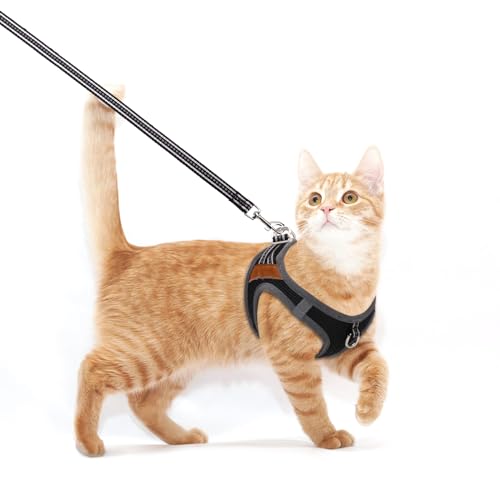 Hemiks Harnais pour Chat, Harnais Chat avec Laisse pour Chat, Réglable Harnais Chaton Respirant Harnais Chat Anti Évasion Refléchissant Harnais Lapin pour Chats et Chiots (XS, Noir)