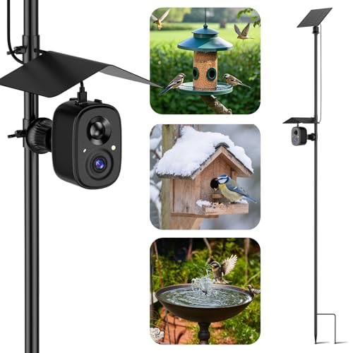 Smart Bird Feeder Camera Solar Powered with Pole, 2.5K HD Birdwatching Live Video Auto Capture, AI Identification & Instant Notification, Wireless Bird House/Bath Cam Outdoor, Gift for Bird Lovers