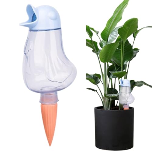 ateena  A     @  蓖 (1)