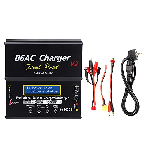 Caricatore dell'equilibrio Scaricatore