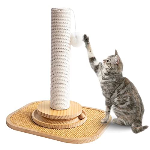 List of Top Ten Best Carpet Cat Scratching Post [Top Picks 2023 Reviews]