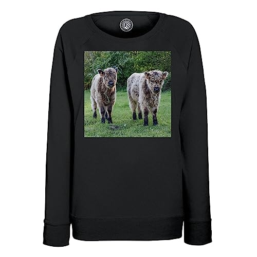 Sweatshirt femme veaux poilus mignons animaux de la ferme pull