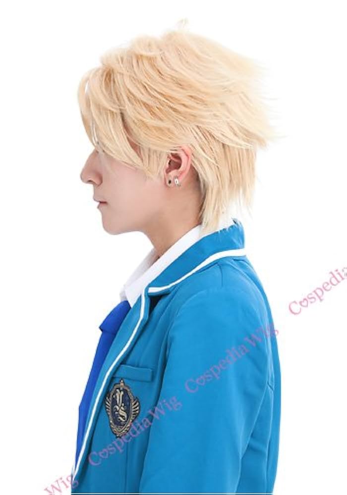 【値下げ中！】あんさんぶるスターズ 鳴上嵐 コスプレウィッグ あんさんぶるスターズ！ Knights 鳴上嵐 コスプレウィッグ