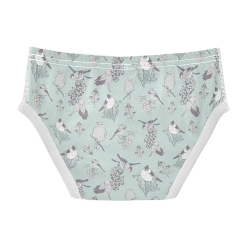 Boys' Exclusive Briefs Toddler Underwear 95% Combed Cotton Boxerbriefs 2T Bird Pattern 222