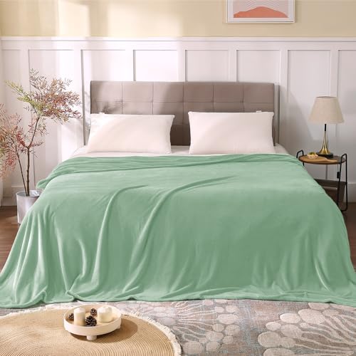 Image of BEDELITE Fleece Blankets Queen Size Mint Green Throw Blankets for Bed, Luxury Plush Cozy Fuzzy Blanket 90x90 inches, Super Soft Warm Lightweight Throw Blanket All Seasons Suitable