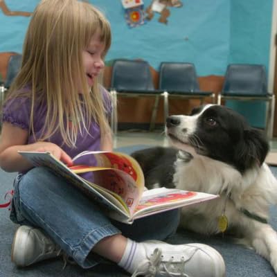 Reading To Dogs