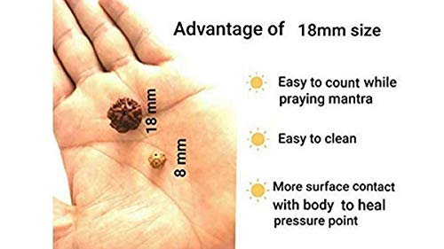 Himalayan organic five face Rudraksha necklace mala. Standard size 108 beads grown up in Himalaya of Nepal without chemical, wax and color treatment - Thumbnail 7