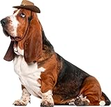 Rubies Cowboy Pet Hat for Dogs or Cats, S/M