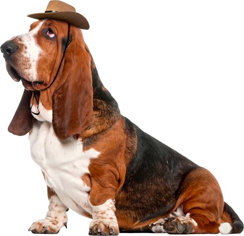 Rubies Cowboy Pet Hat for Dogs or Cats, S/M