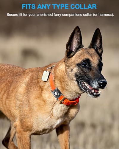 Soporte para collar de perro Airtag impermeable funda compacta antimordeduras pack de 2 2