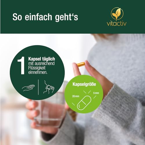 Vitactiv Natural Nutrition Bio Curcuma 3000 - Kurkuma hochdosiert - Curcuma Extrakt mit 95% Curcumin - Piperin für hohe Bioverfügbarkeit - Ohne Magnesiumstearat, Vegan-60 Curcuma Kapseln für 60 Tage