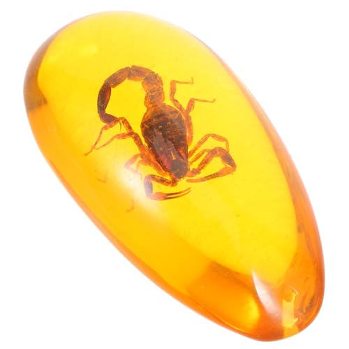 SOLUSTRE Amber Insect Stone Decor Resin Insect Specimen Resin Stone Specimen Amber Stones Amber Stone Specimen Insect Adornment Insect Stone Specimen Home Decor Insect Ornament