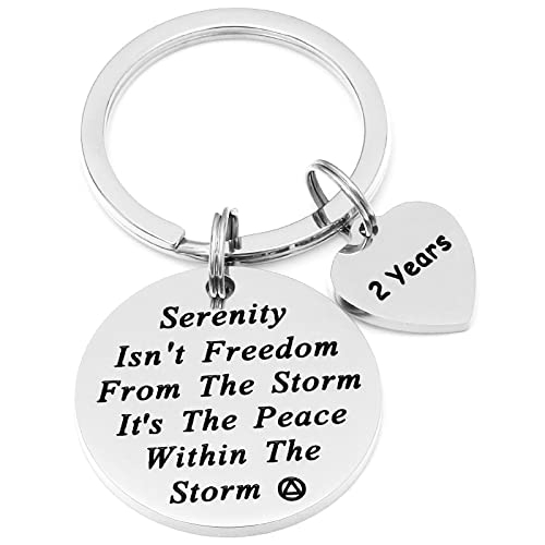 HUTIMY Sober Gifts for Women Keychain Gifts for Sobriety Anniversary 2 Years 2yr Key Chains Na Recovery Jewelry for Men Sober Jewelry