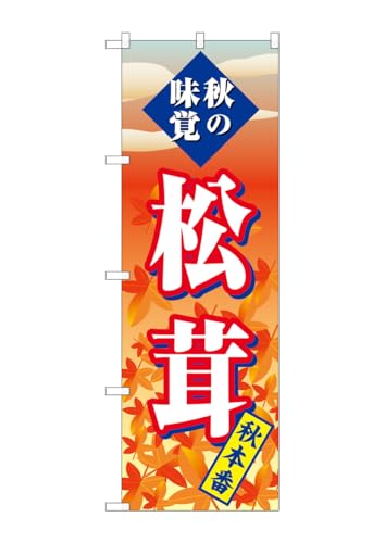 ̂ڂ艮H[ ̂ڂ SNB-4264  H{ W600×H1800mm 1  OO ɐ 󒍐Yi