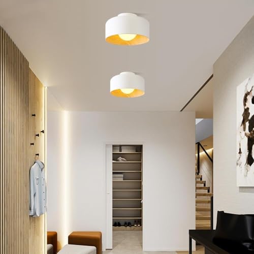 Lámpara de techo con veta de madera pequeña para iluminar techos bajos con estilo 3