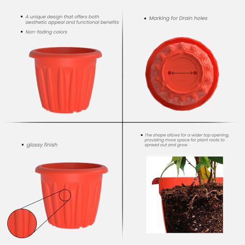 Image of YUCCABE ITALIA SHERA Floot 6 Inch Plastic Flower Pot 6 Piece Set of Round Shape Planter for Home Garden Seedling Planter for pots (Multicolor)