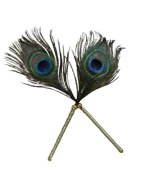 Maa Jiya Traders Natural Peacock Feather (Pack of 2) Mor Pankh