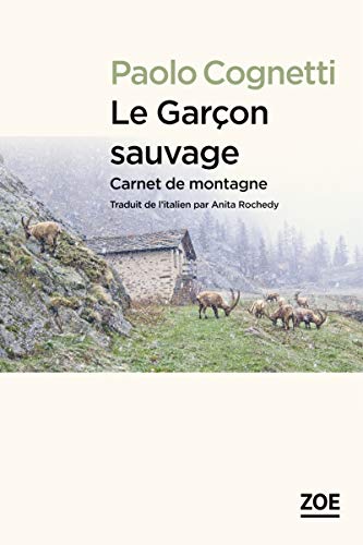 Le garçon sauvage : Carnet de montagne PDF