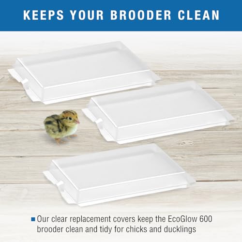 Brinsea Clear Plastic Replacement Covers for EcoGlow Safety 600 Chick or Duckling Brooder, Fit Over Plate for Easy Cleaning, Pack of 3 - Thumbnail 5