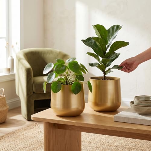 Pot de plantes en fer forgé doré pour centre de table chic - 8