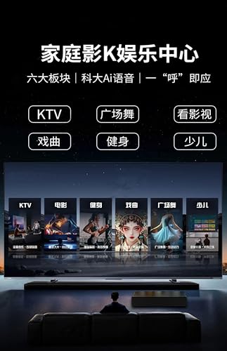Image of Blume 2026 Chinese Karaoke Machine Karaoke Player Free Cloud Song Update Function for Family (Bass-no Screen)