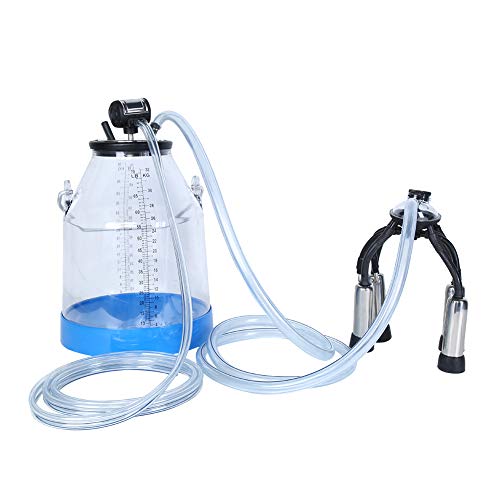 pAjunjiiliili@Agїp32LoPbg^NAip̌Iȍup