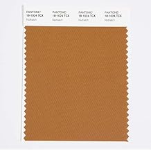 Pantone Cotton Swatch Card Color Standard, Color # 18-1024, Nuthatch