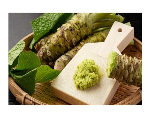 Image of Kikkoman Wasabi Sauce for Sandwiches and Dipping - Pack of 2 - A Versatile Condiment with a Velvety Zing - Trusted Name and Great Flavor - Stock Up Today