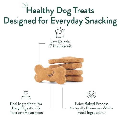 Portland Pet Food Company Bacon Dog Treats Healthy Biscuits for Large Medium & Small Dogs - Grain-Free, Human-Grade, All Natural Dog Cookies, Snacks & Training Treats - Made in the USA - 5 oz