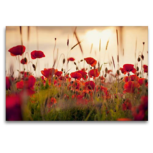 Bild 120x80 Querformat: A Comprehensive Guide to Its Value and Benefits